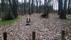 Forêt de Lespinasse, table de pique-nique et aire de jeux