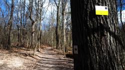 Balisage circuit N° 7 noir (20 km), le grand tour de Lespinasse, départ St Forgeux Lespinasse