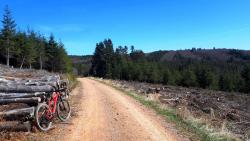 Piste dans le Bois Vague