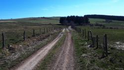Piste vers les Faux (ou Fôts)