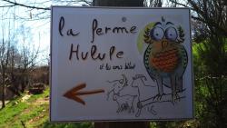 La Condamine, la ferme Hulule et les amis bêlent