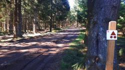 Balise de l'Espace VTT-FFC du Massif des Bois Noirs, N° 15 départ St Just en Chevalet