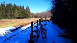 Bois de Golne, plaque de neige (28-03-2021)