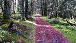 Retour, chemin le long de la D 182