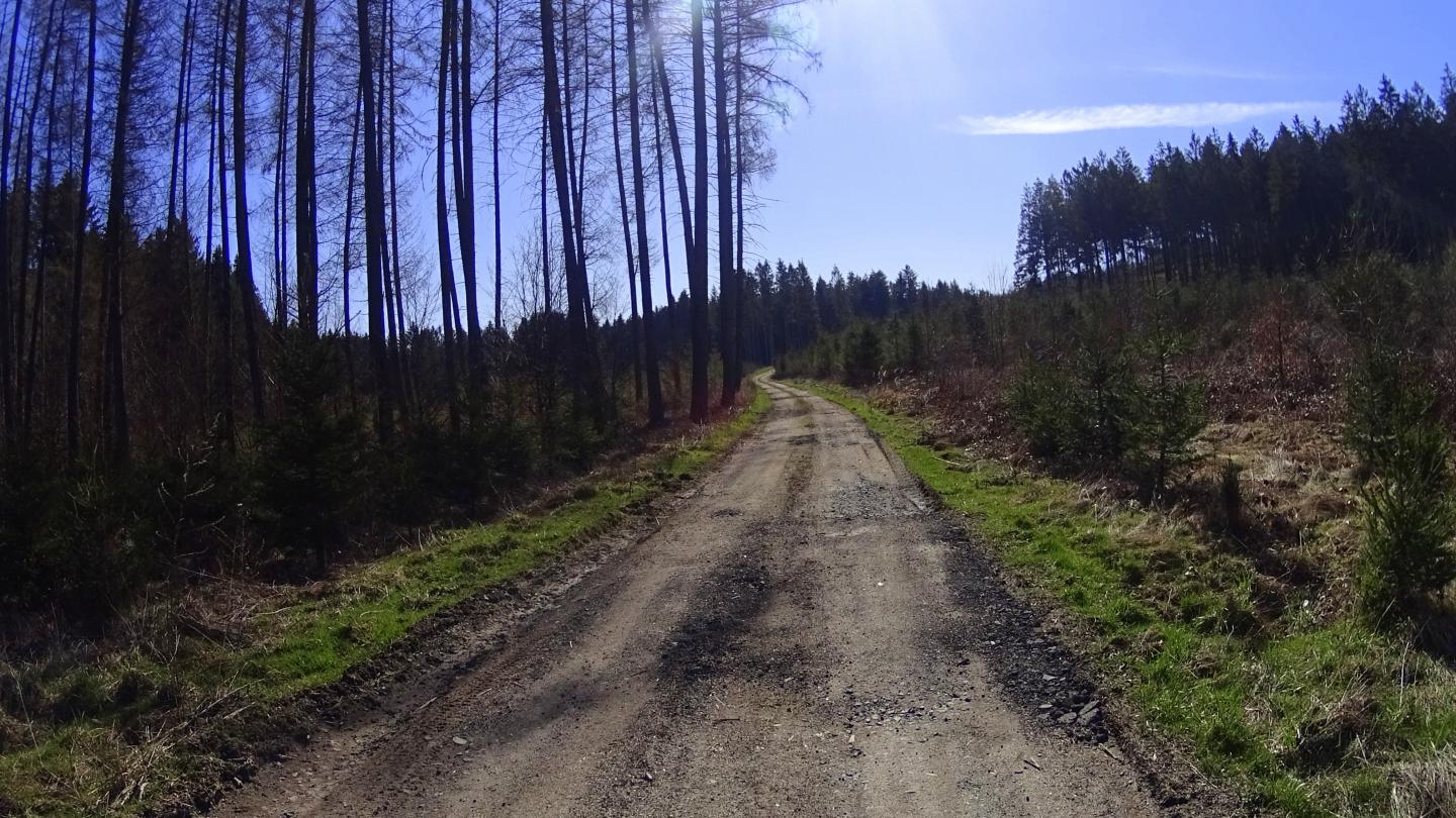 Autour de Lesse (Redu)