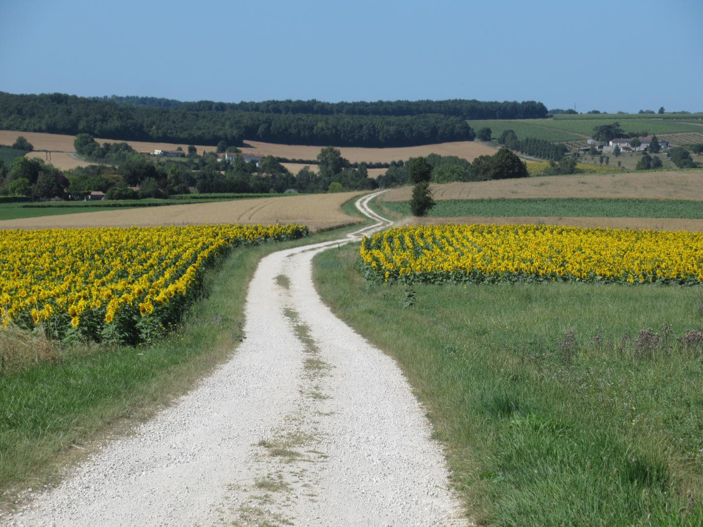 Tour de Charente
