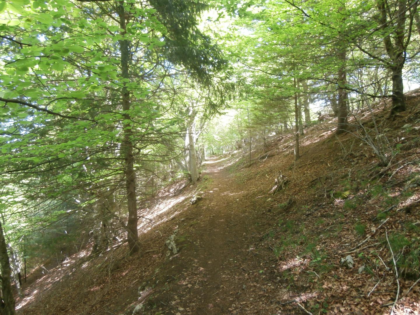 Plaine et Tucou