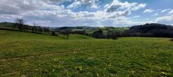 Paysage verdoyant