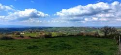 Paysage verdoyant
