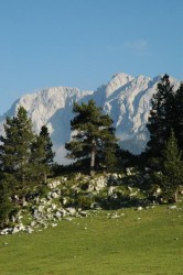 Etape 9 : Toujours de beaux contrastes... depuis le col après Josa