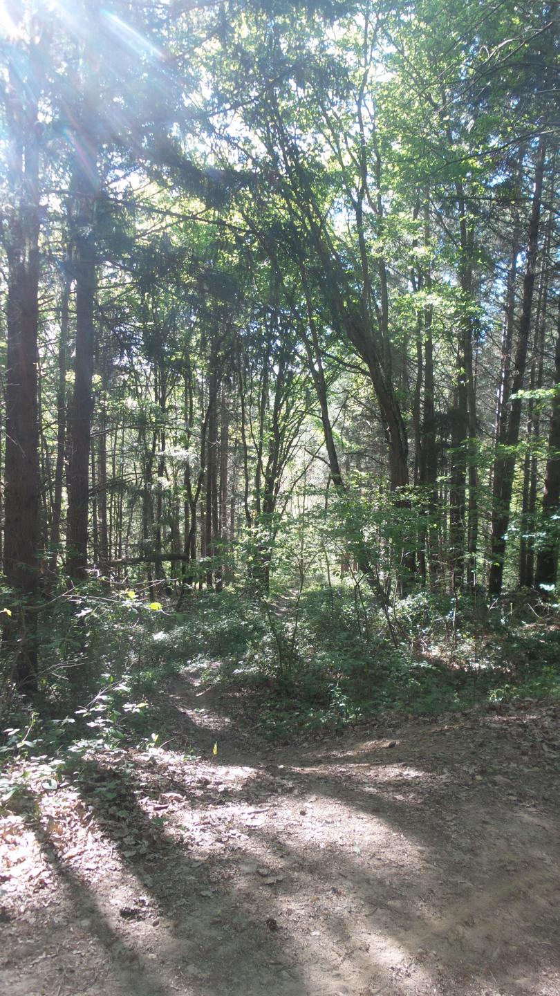 Lagrâce-Dieu - Du bois de la Mecque à Bosc-Grand