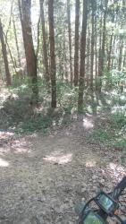 VTT-25582