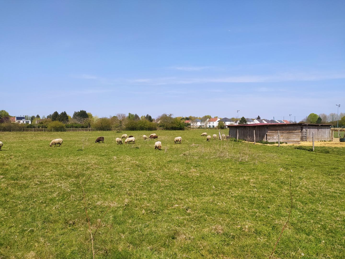 Entre Réveillon et Yerres