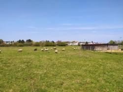 Sur la plaine de Mandres