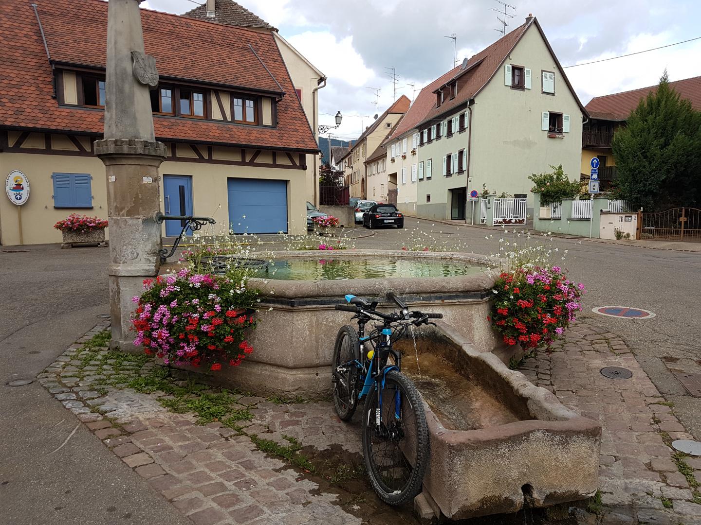 Boucle sur les coteaux alsaciens