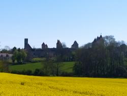 Château de Blandy les Tours