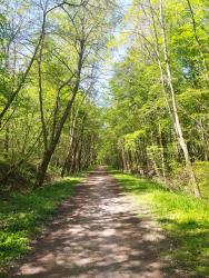 Chemin des Roses