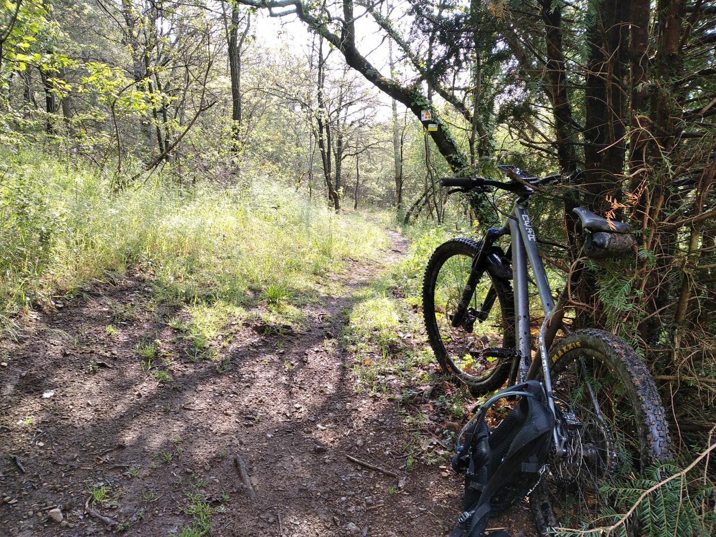Espace VTT Cordelle : Circuit N° 5