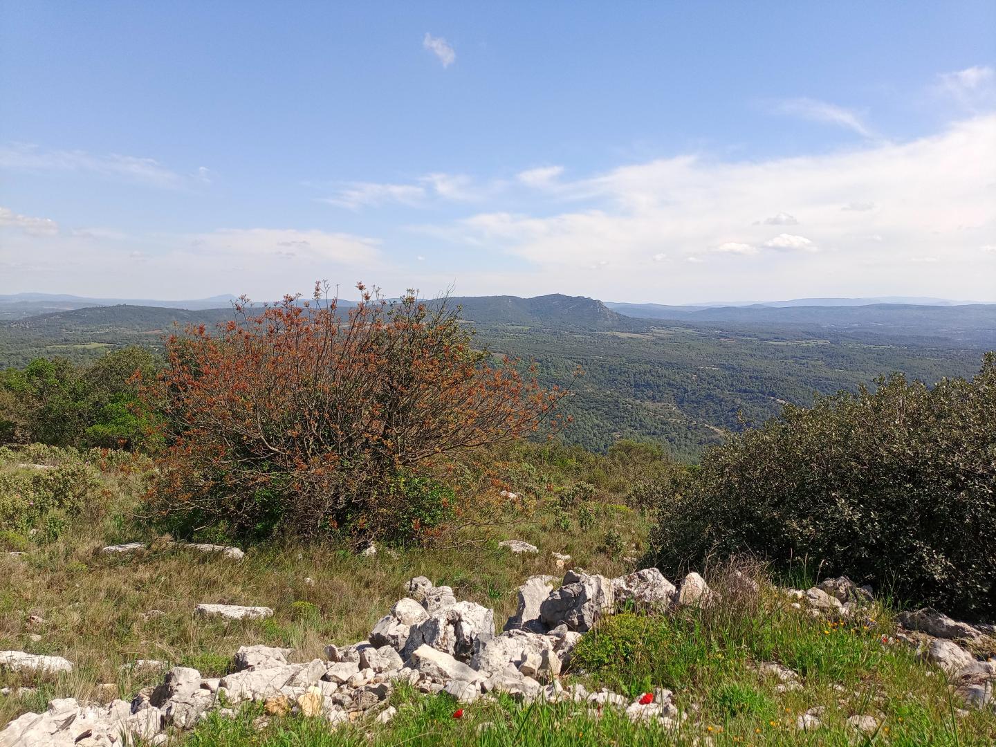La DH du Saint-Sépulcre