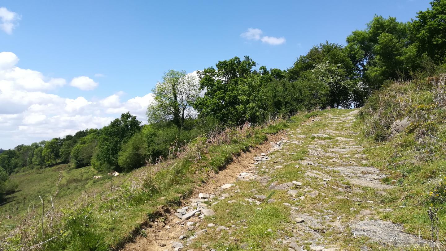Mauléon - Hoquy - Gaztelu Harria - Bois de Chéraute