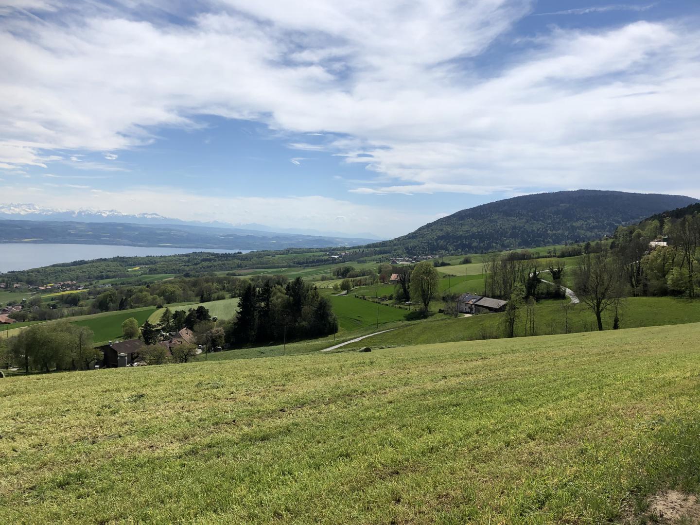 A flanc de coteau et vue sur les Alpes