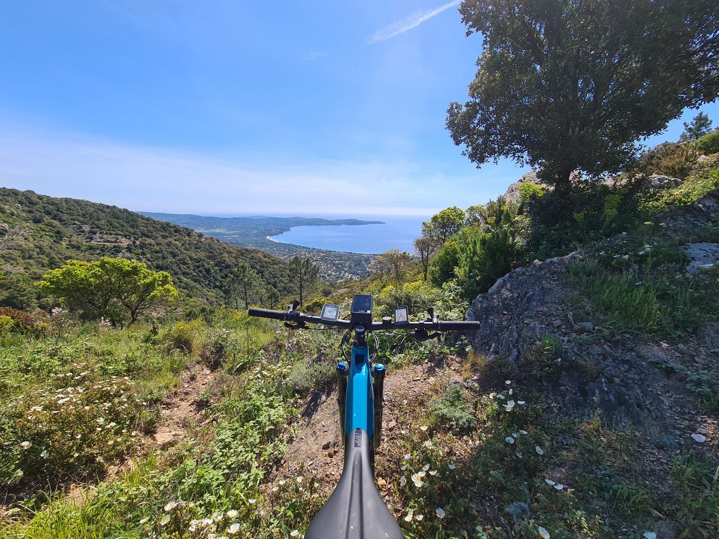 La Rolande de la forêt domaniale du massif des Maures