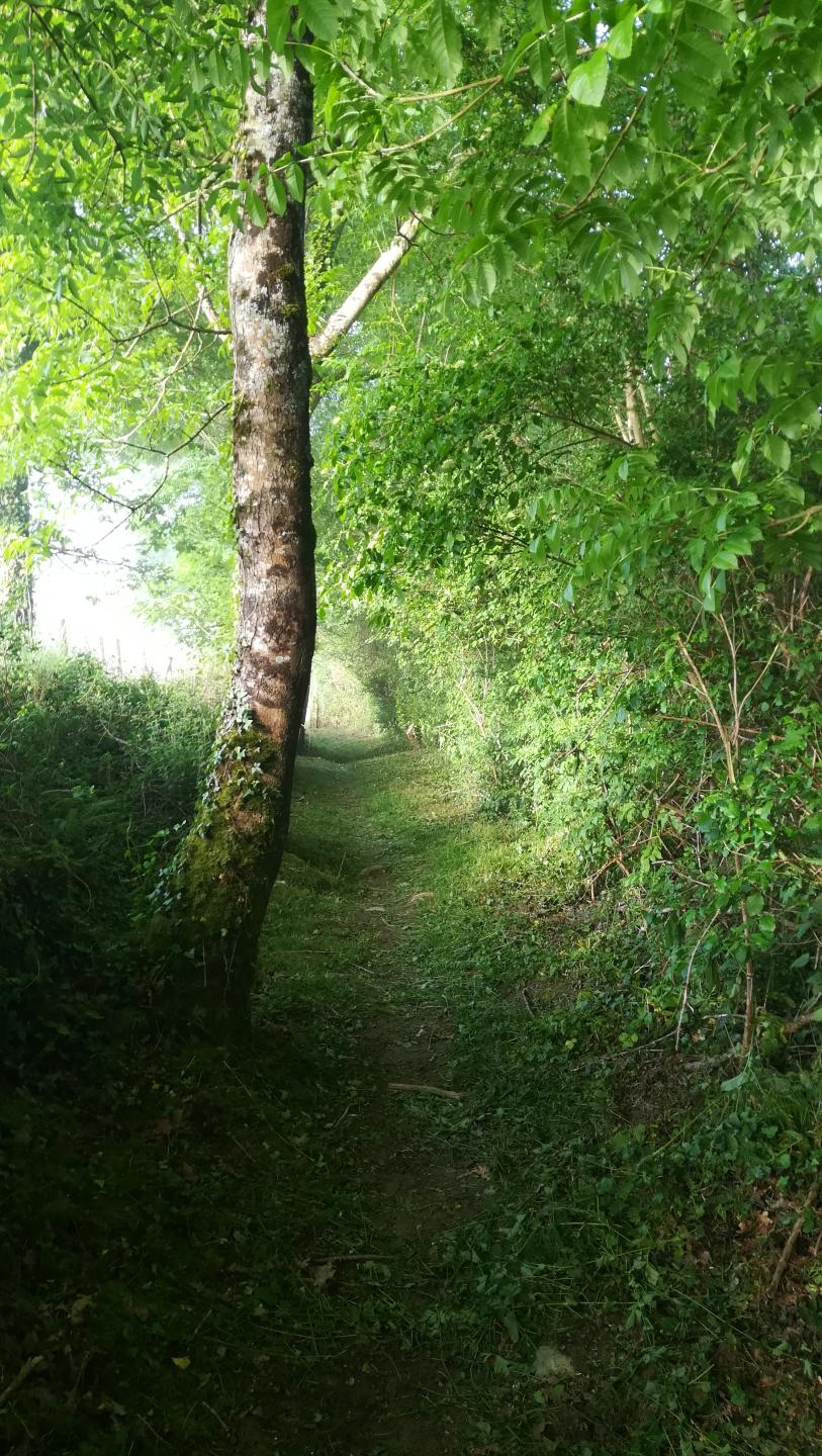 Mauléon - Garategorena - Naphal - Mauléon