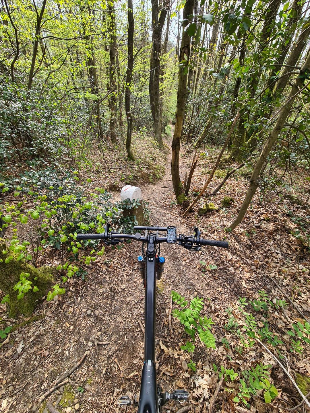 Corbas - Cornavan par le bois de Saint Jean et les hauteurs de Marennes