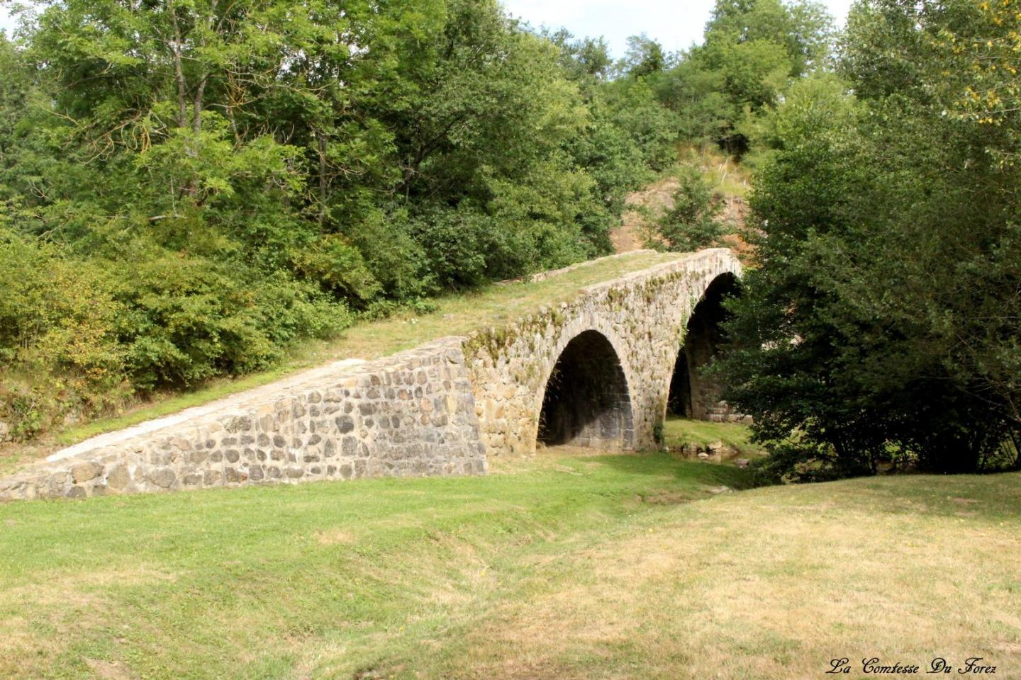 Saint-Marcellin - Plan d'eau de Saint-Bonnet-le-Château