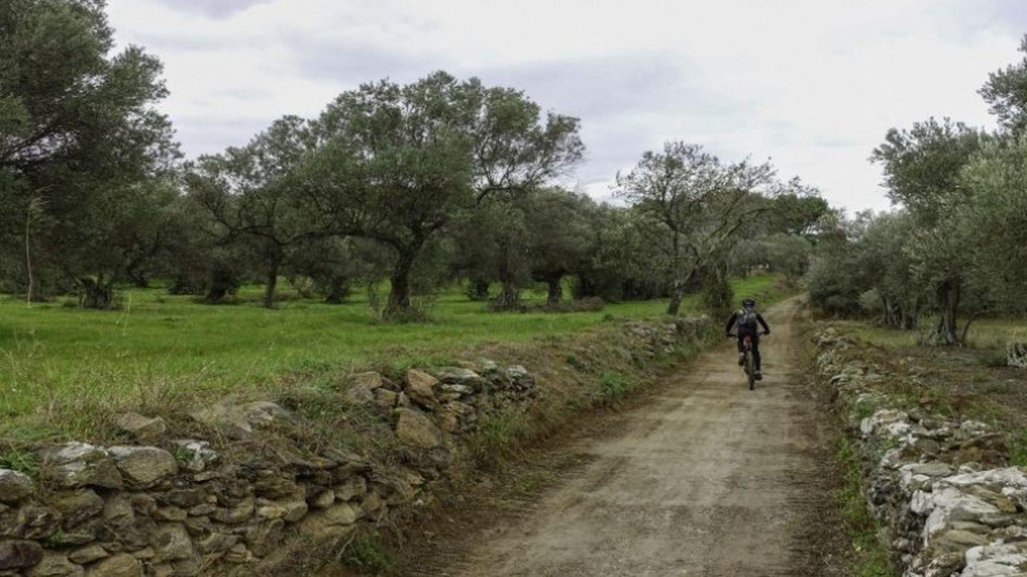 Roses – Serra de Rodes