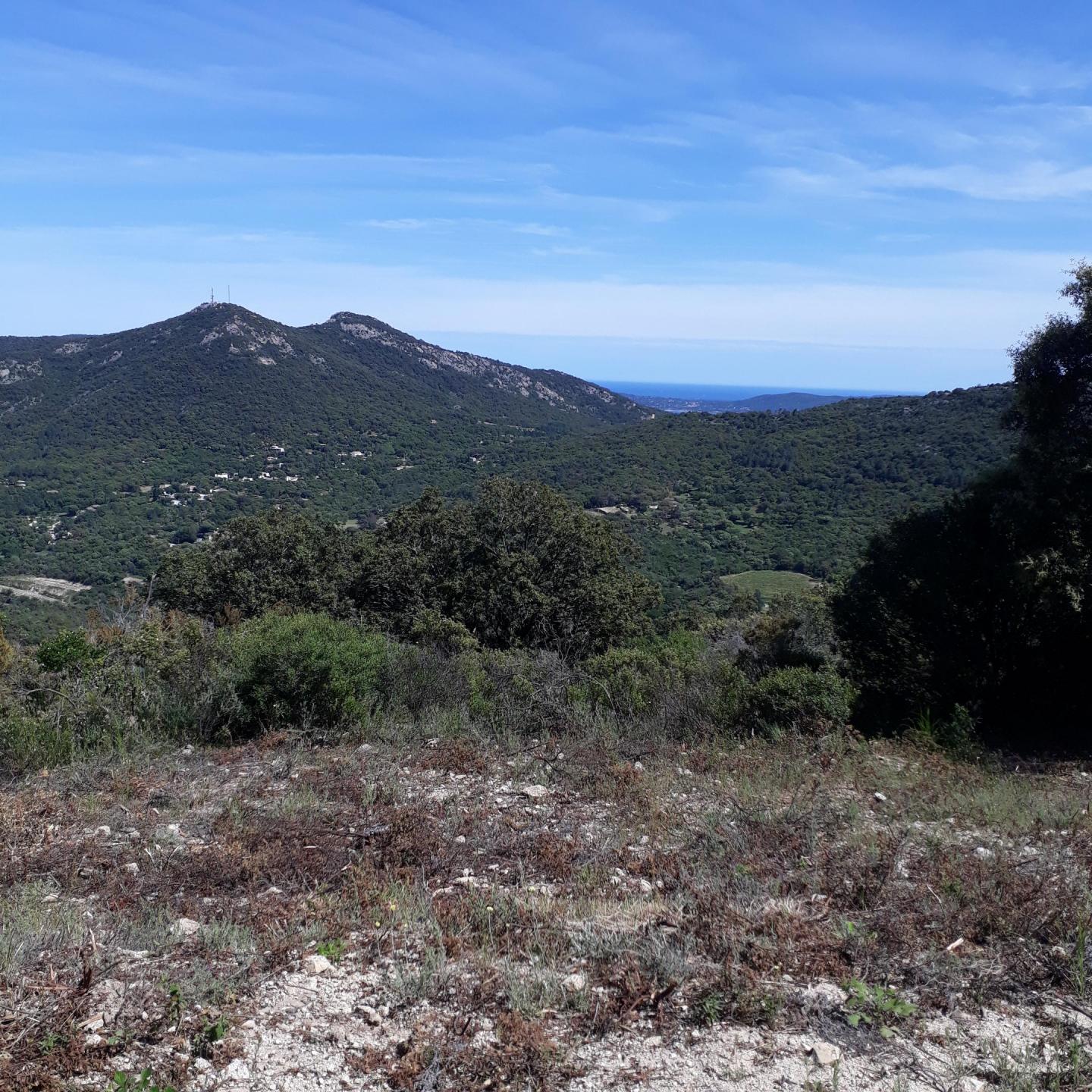 Entre Sainte-Maxime et le Plan-de-la-Tour