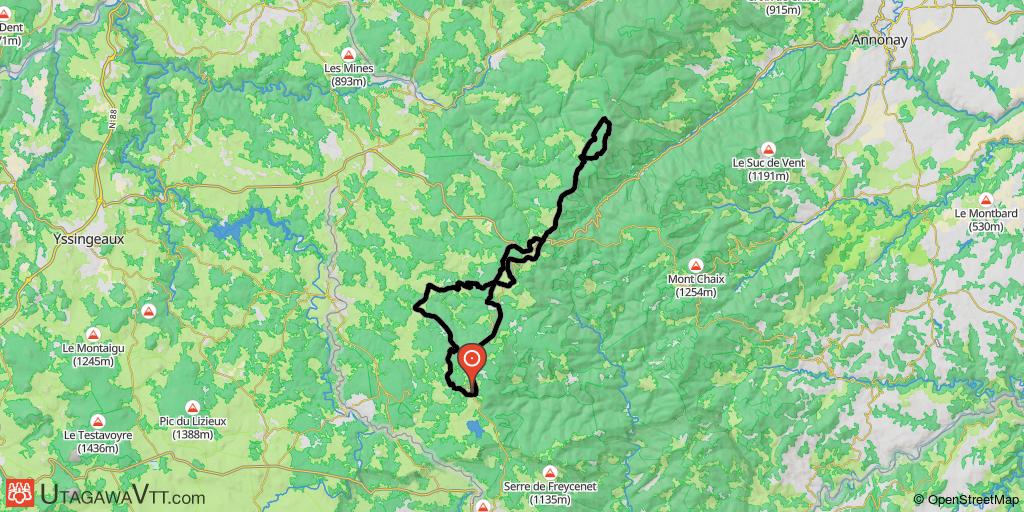 Forêt entre Haute Ardèche & Loire