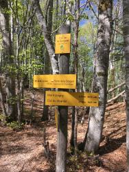 VTT-26307