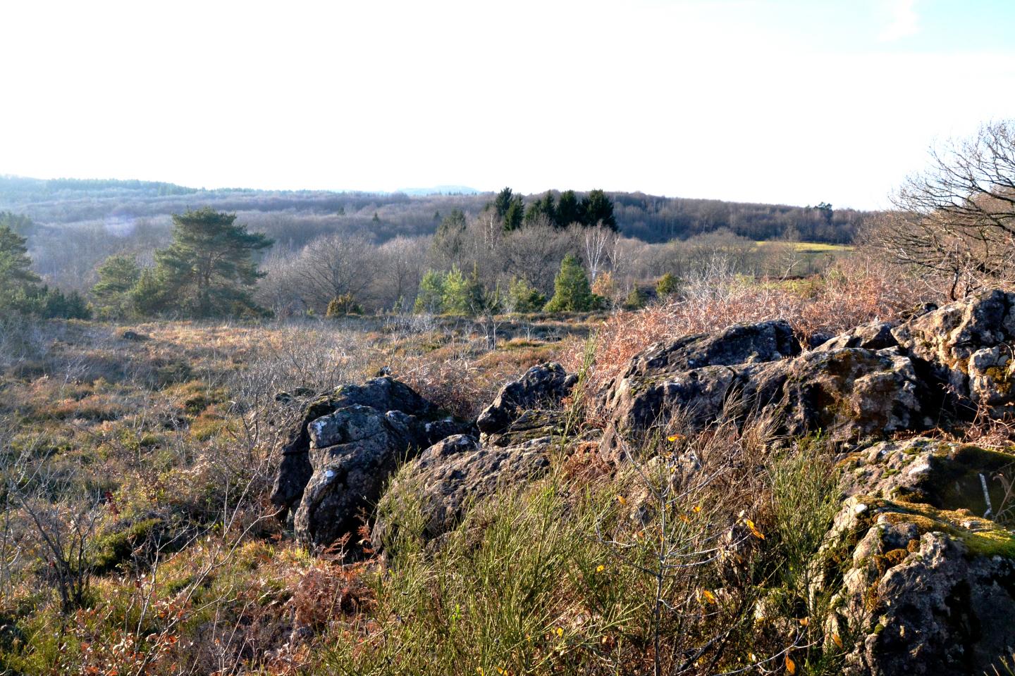 Meuzac - Puy et landes + Caux
