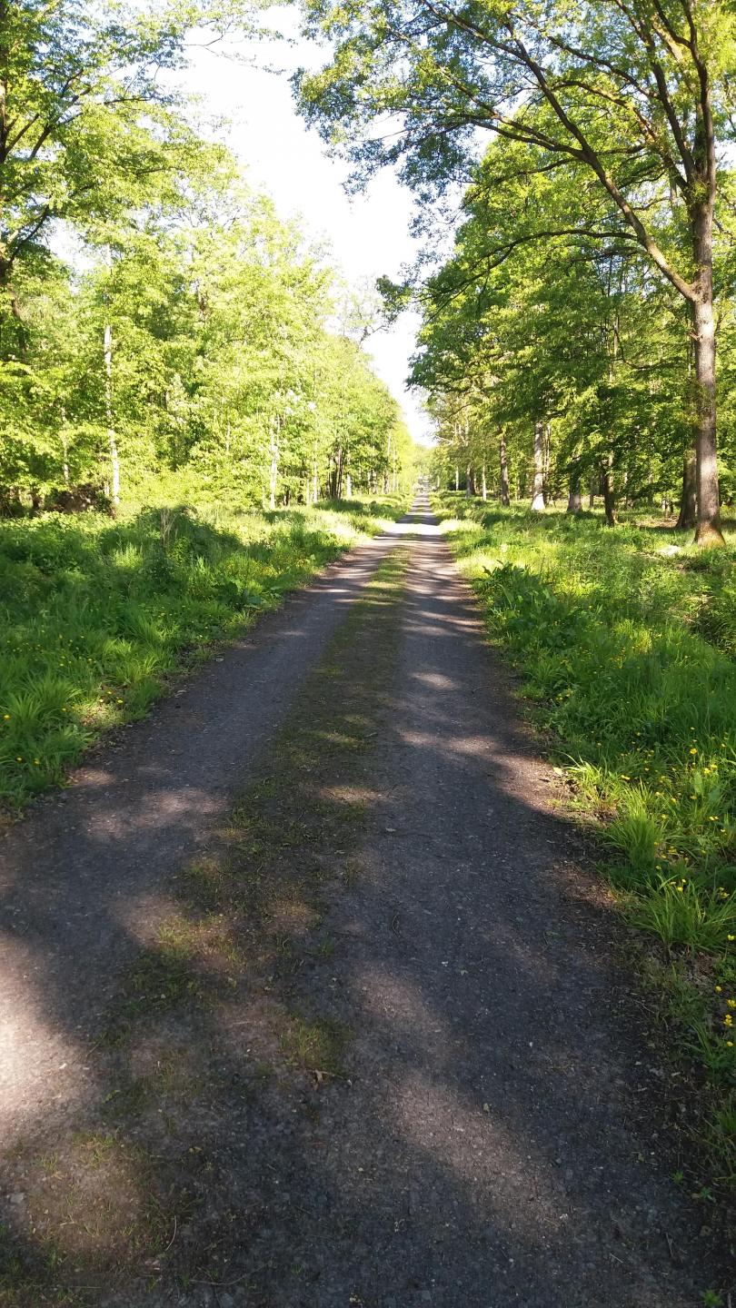 Berlaimont - Le Quesnoy - Berlaimont