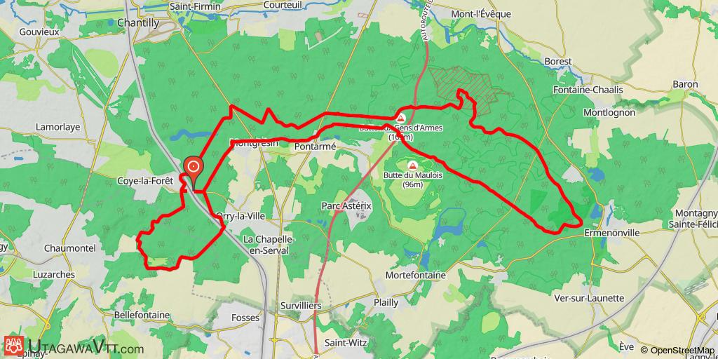 Sable et fougères en forêts de Chantilly et d'Ermenonville