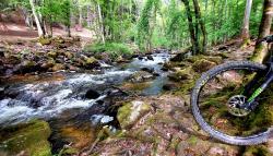 Torrent du Barbenan