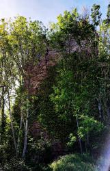 Ruine du château de Montmorillon