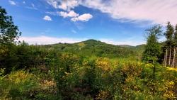 Montagne Bourbonnaise