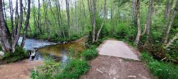 Pont sur le Barbenan au retour