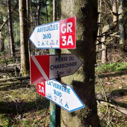 Vers la Pierre Charbonnière (petit aller-retour possible)