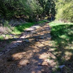 Chemin-ruisseau