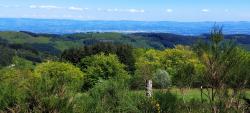 Vue sur le Roannais