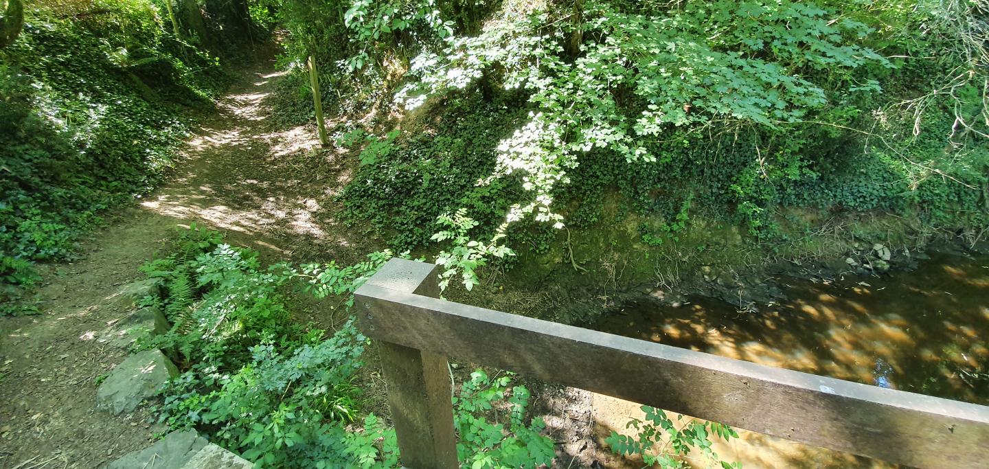 Boucle facile de Geneston vers Saint-Philbert-de-Bouaine
