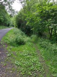 Chemin entre