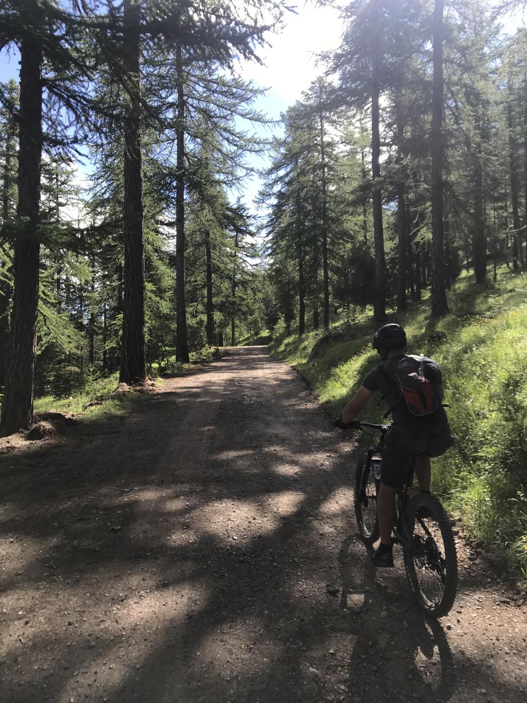 Chemin du facteur/GR5