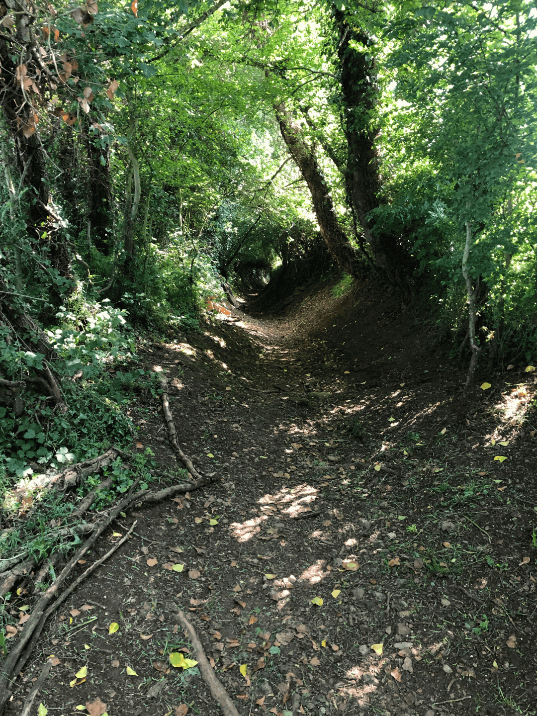 De l'Ajon à l'Odon