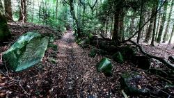 Pion, montée sur un joli chemin