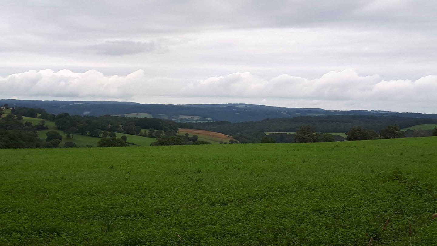 Teissières-de-Cornet