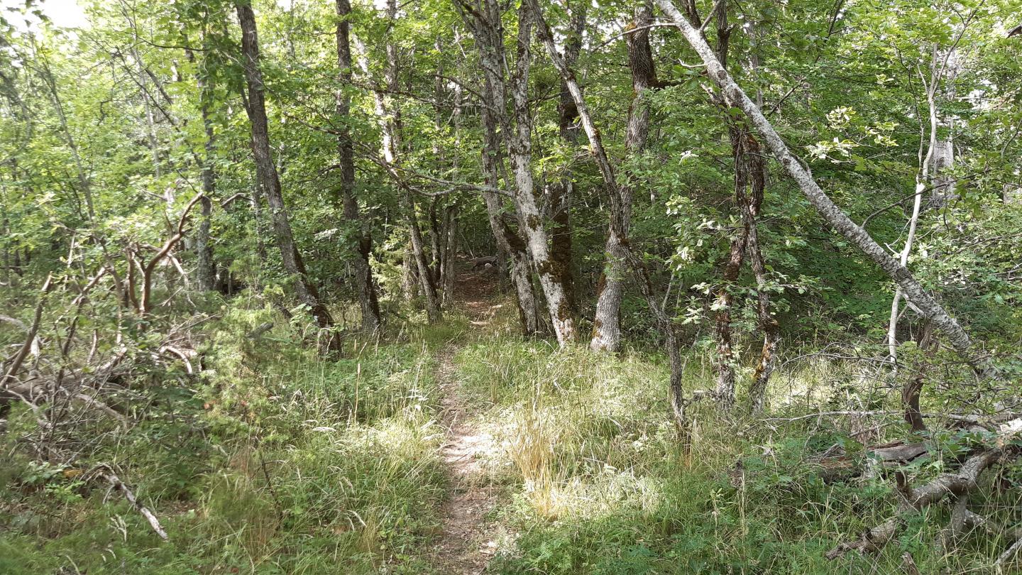 Le Caire - Montsérieux - Torrent de la Combe